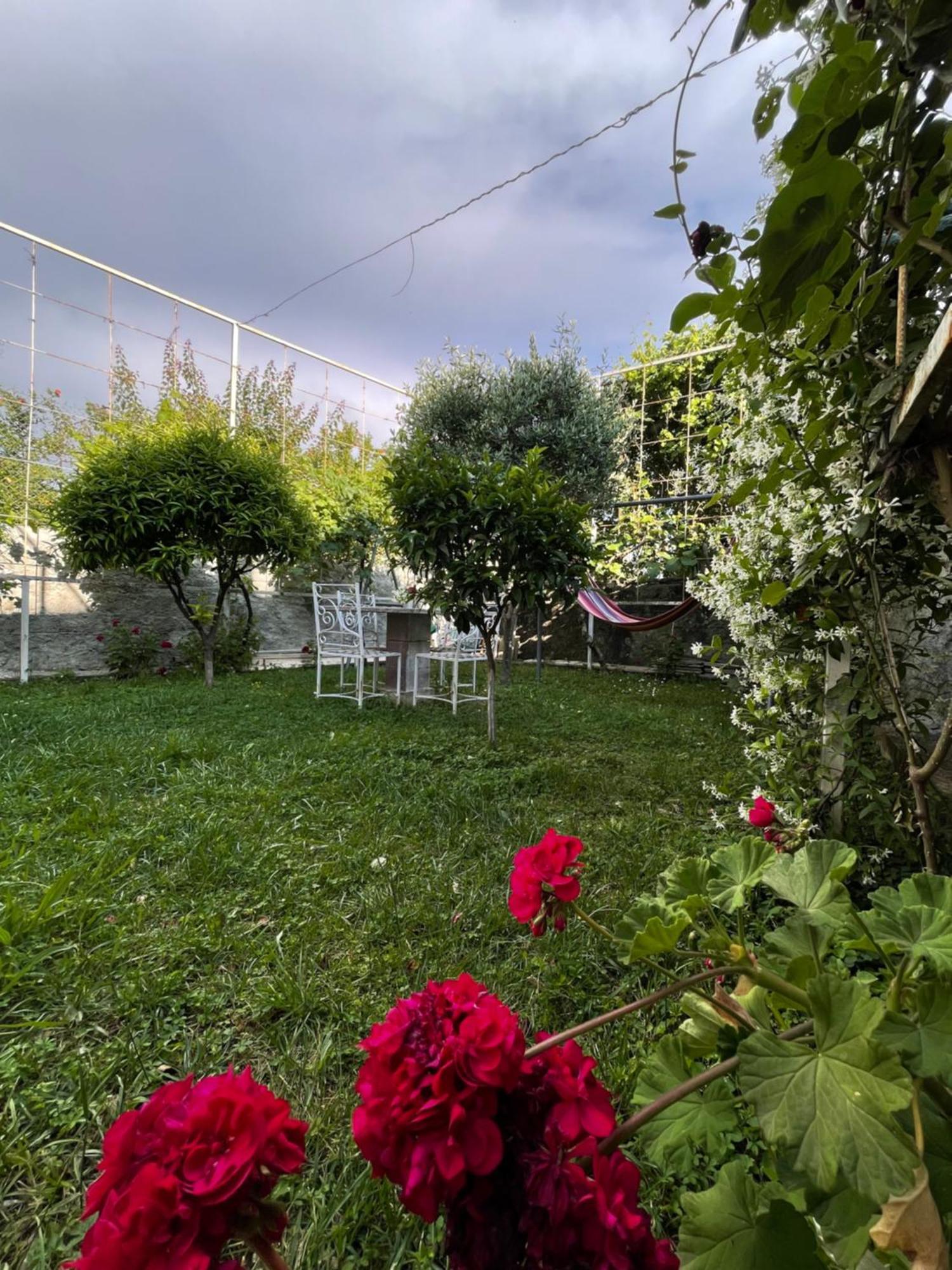 Vila Nela Shkoder Exterior photo